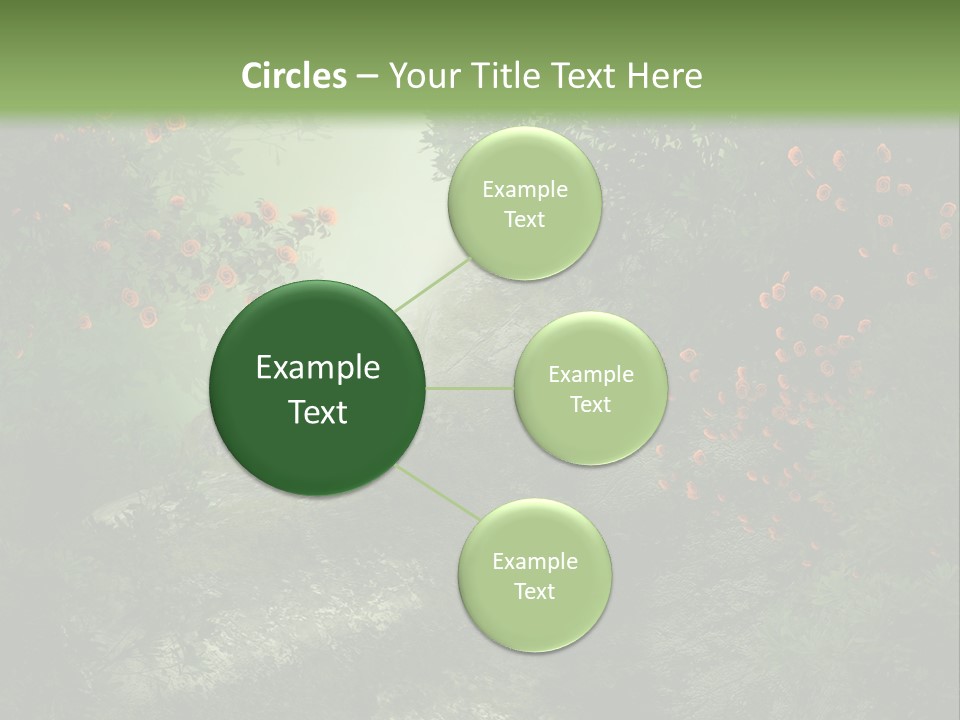 Kwiat Ciemny Drewniany PowerPoint Template