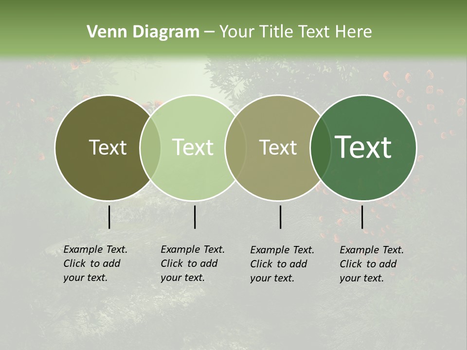 Kwiat Ciemny Drewniany PowerPoint Template