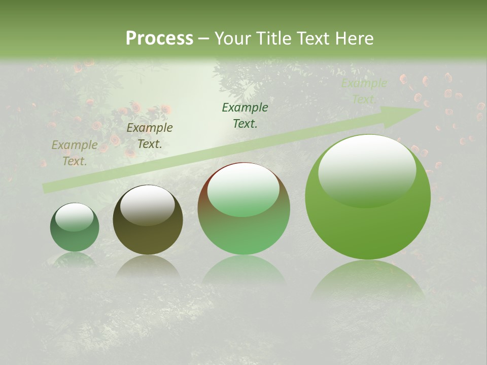 Kwiat Ciemny Drewniany PowerPoint Template