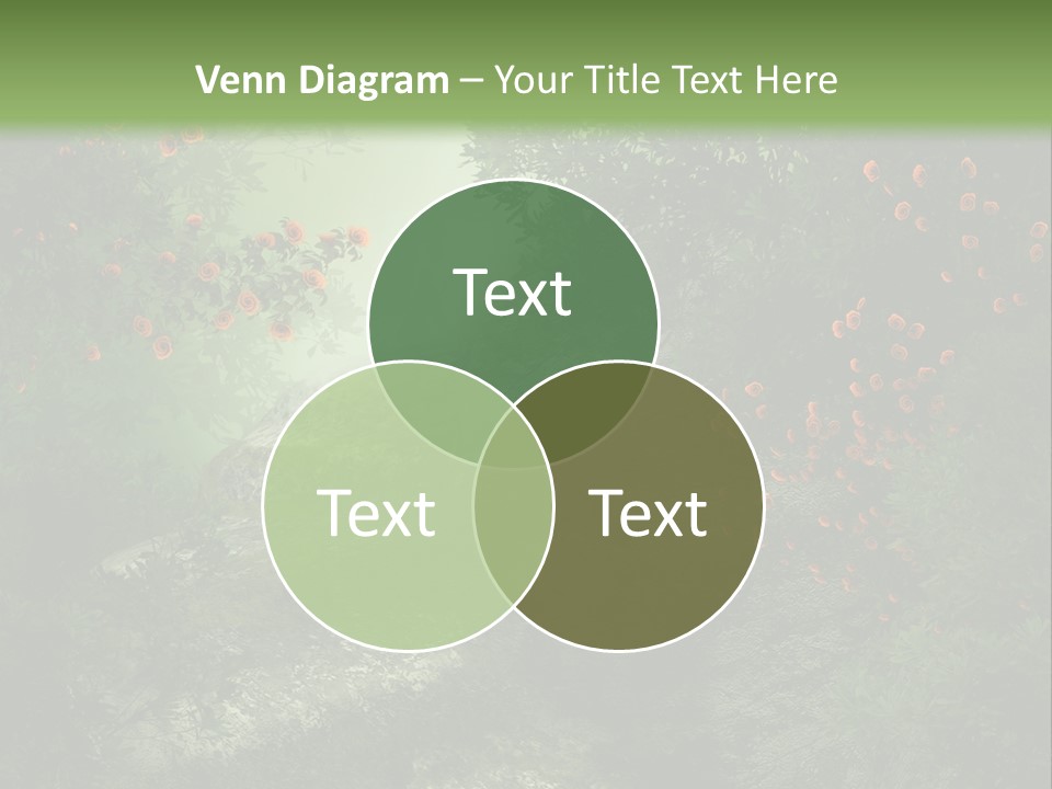 Kwiat Ciemny Drewniany PowerPoint Template