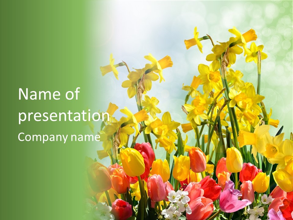 Gras Tradition Ostergru PowerPoint Template