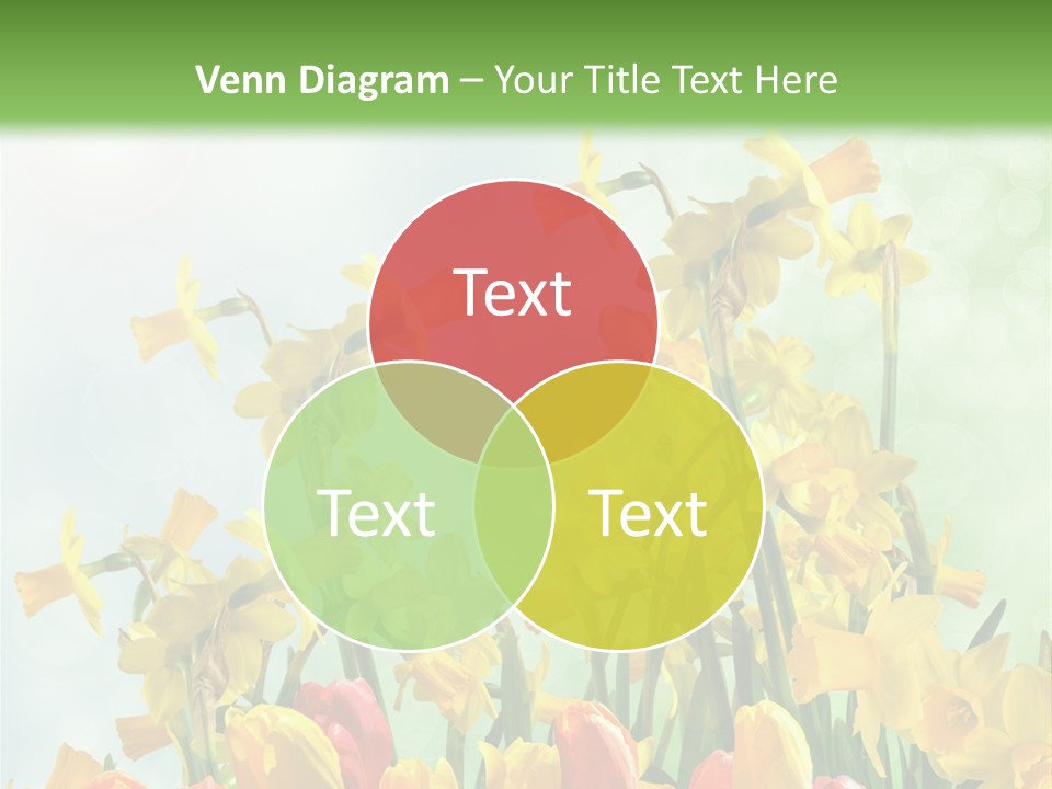 Gras Tradition Ostergru PowerPoint Template