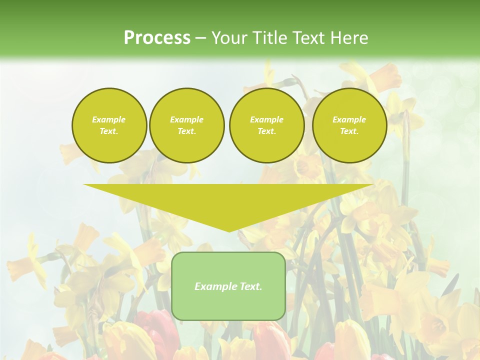 Gras Tradition Ostergru PowerPoint Template