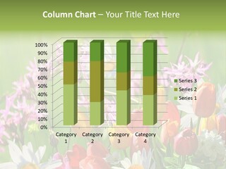 Duft Ostereier Federn PowerPoint Template