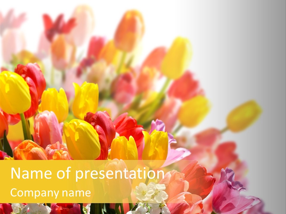 Osterhase Bemalt Ostergru PowerPoint Template