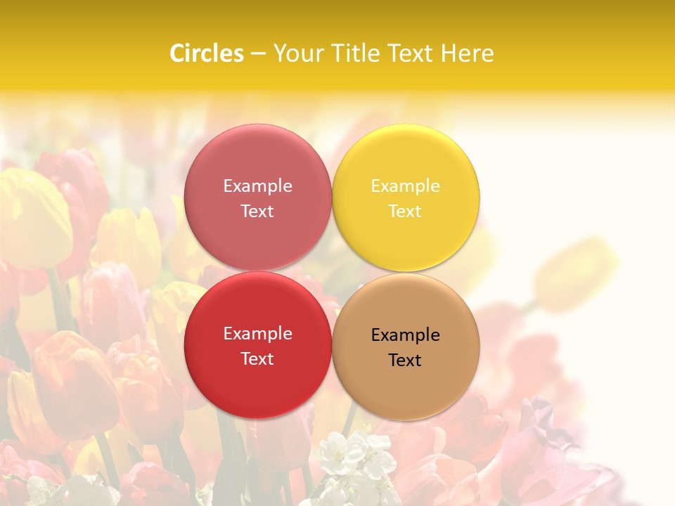 Osterhase Bemalt Ostergru PowerPoint Template