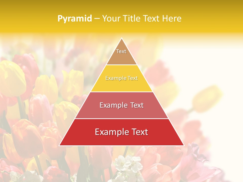 Osterhase Bemalt Ostergru PowerPoint Template