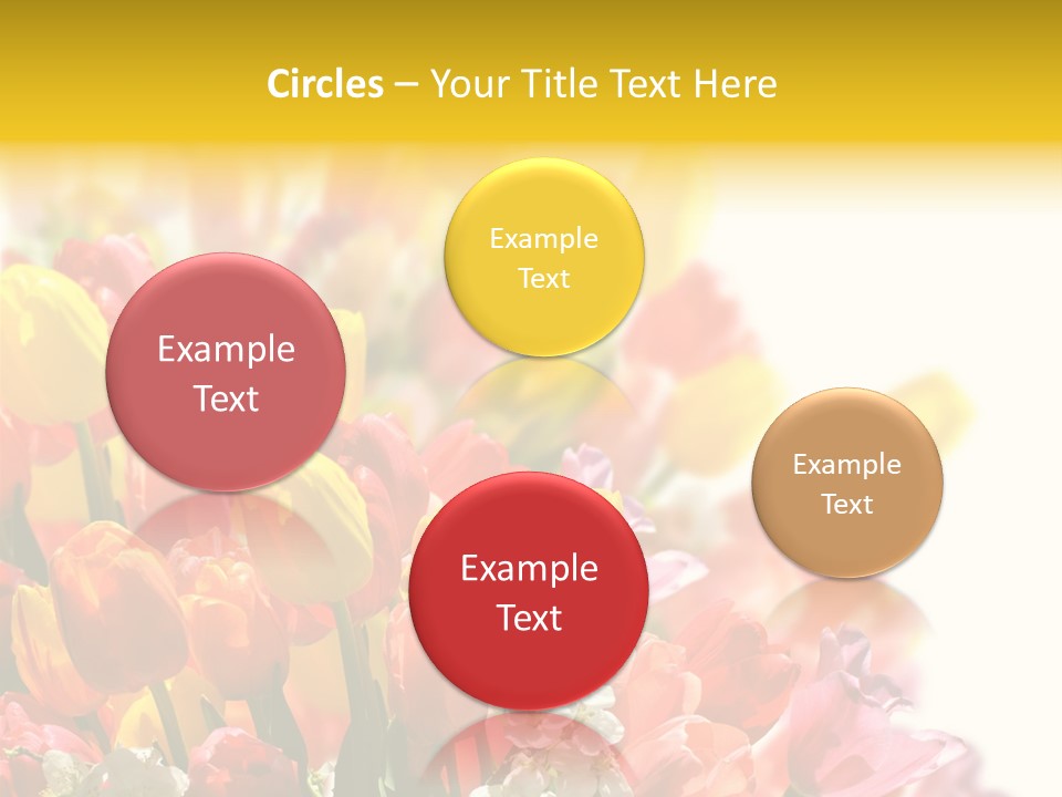 Osterhase Bemalt Ostergru PowerPoint Template