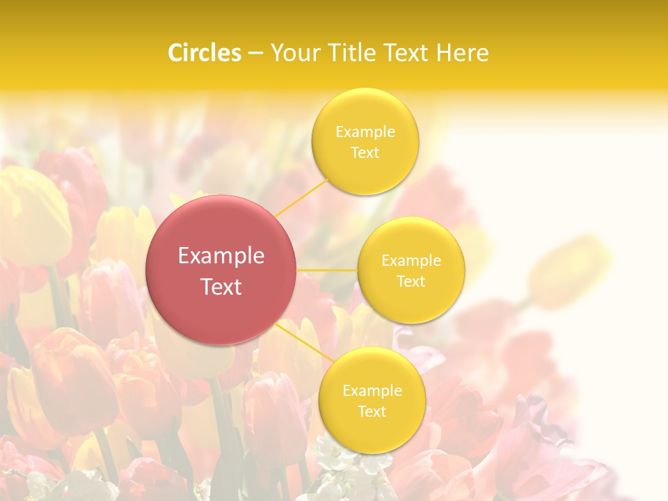 Osterhase Bemalt Ostergru PowerPoint Template