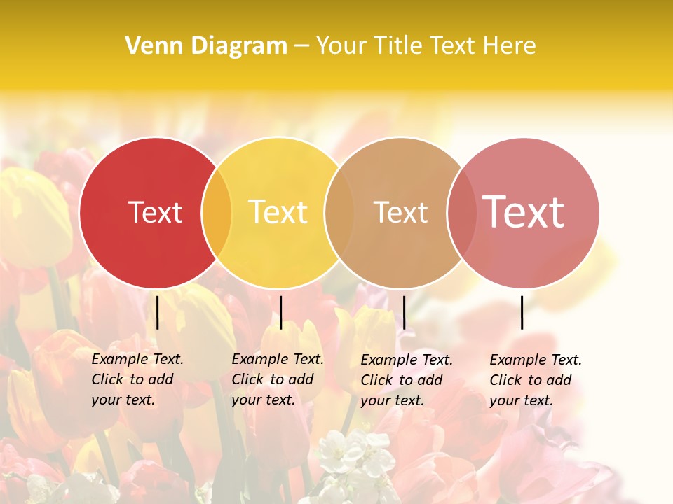 Osterhase Bemalt Ostergru PowerPoint Template