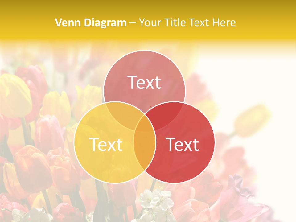 Osterhase Bemalt Ostergru PowerPoint Template