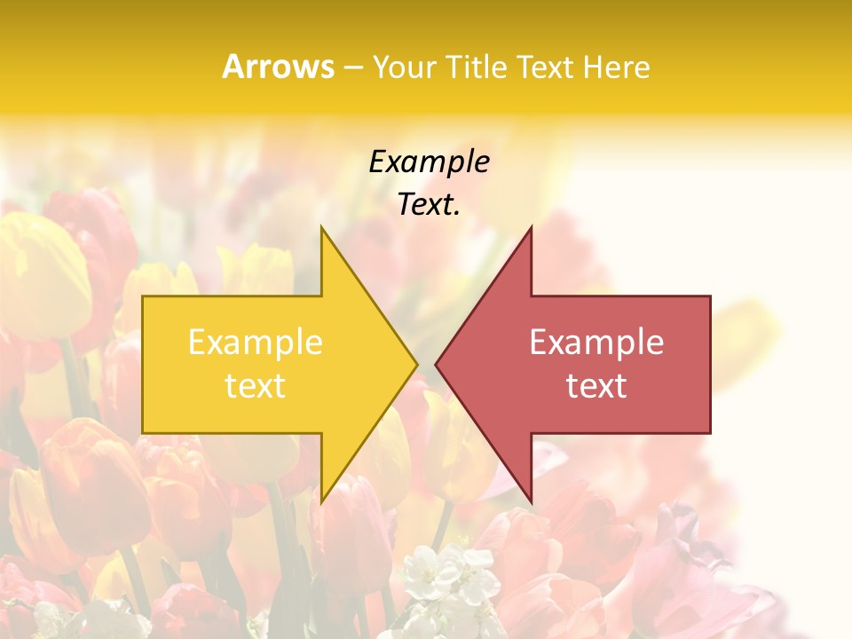Osterhase Bemalt Ostergru PowerPoint Template
