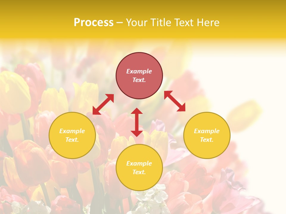 Osterhase Bemalt Ostergru PowerPoint Template