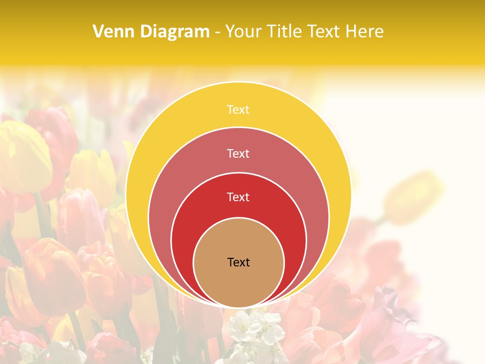 Osterhase Bemalt Ostergru PowerPoint Template