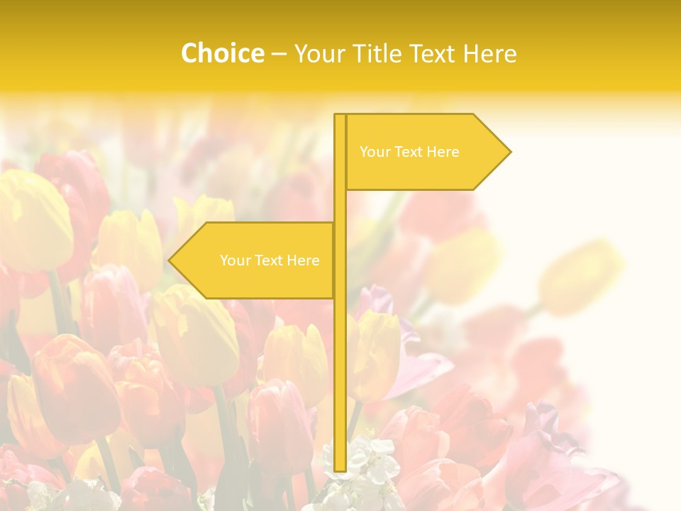 Osterhase Bemalt Ostergru PowerPoint Template