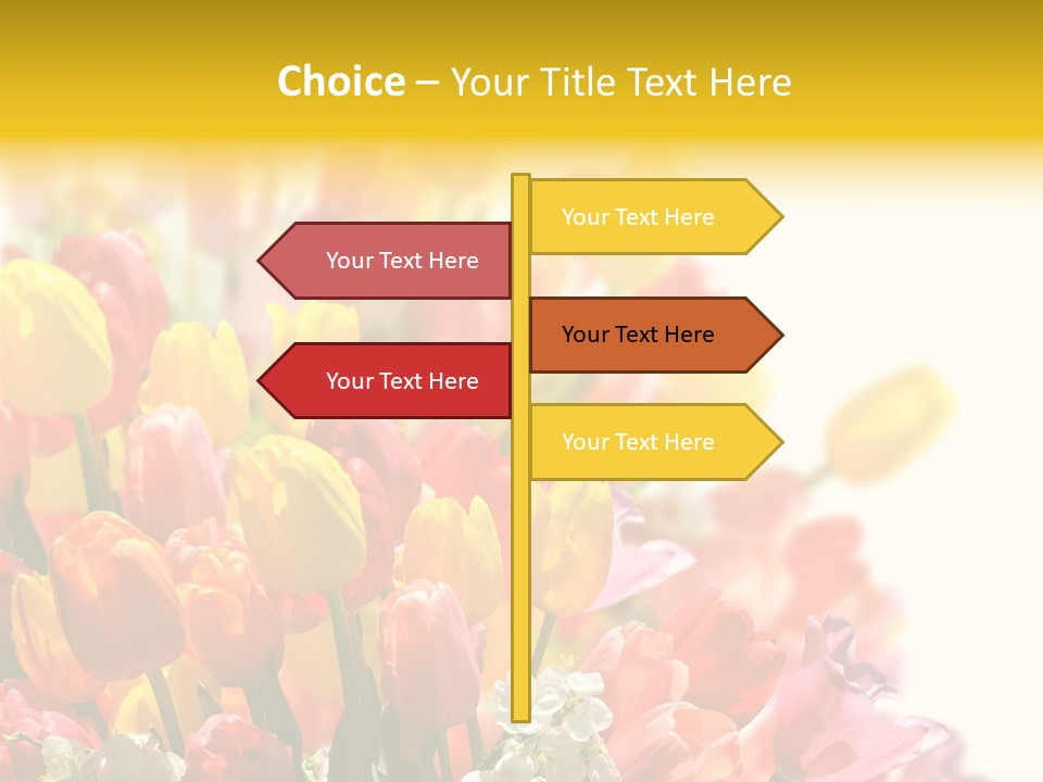 Osterhase Bemalt Ostergru PowerPoint Template