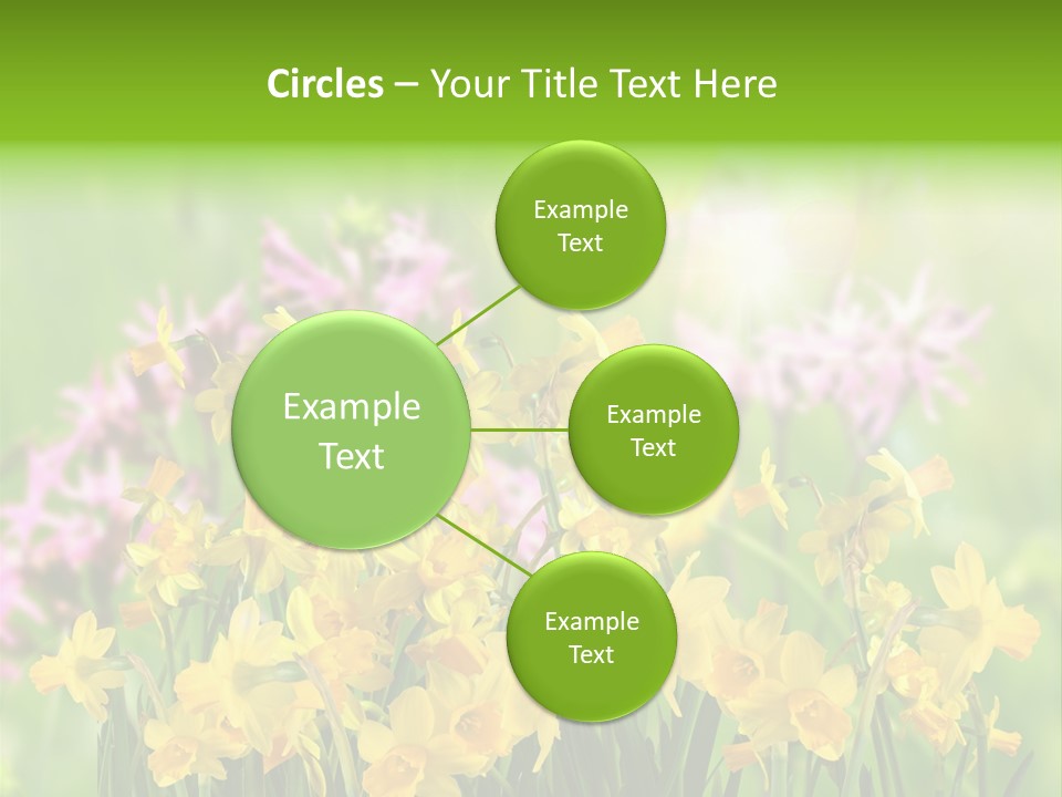 Duft Brauchtum Jubil PowerPoint Template