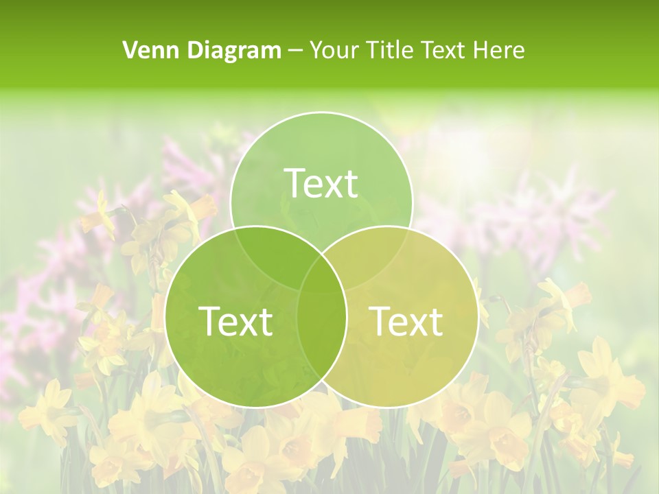 Duft Brauchtum Jubil PowerPoint Template