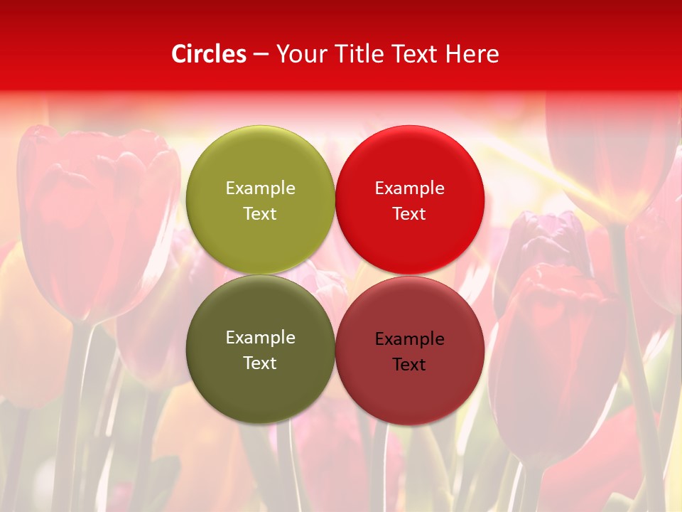 Color Multicolored Springtime PowerPoint Template