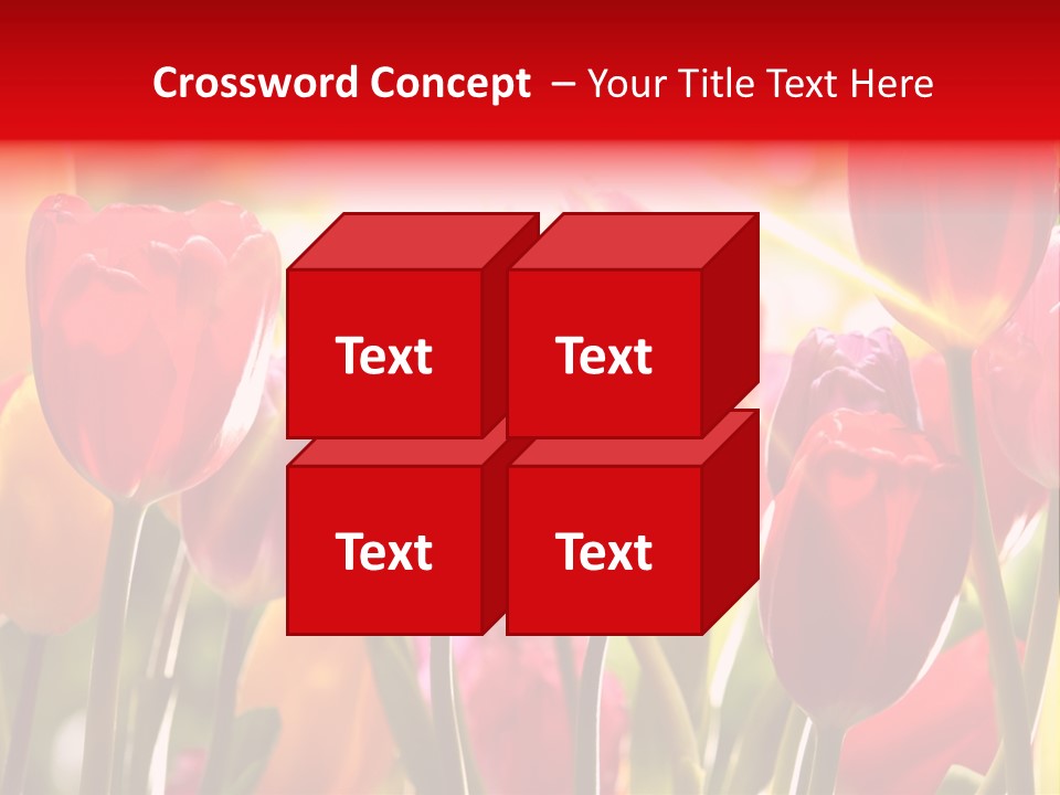 Color Multicolored Springtime PowerPoint Template