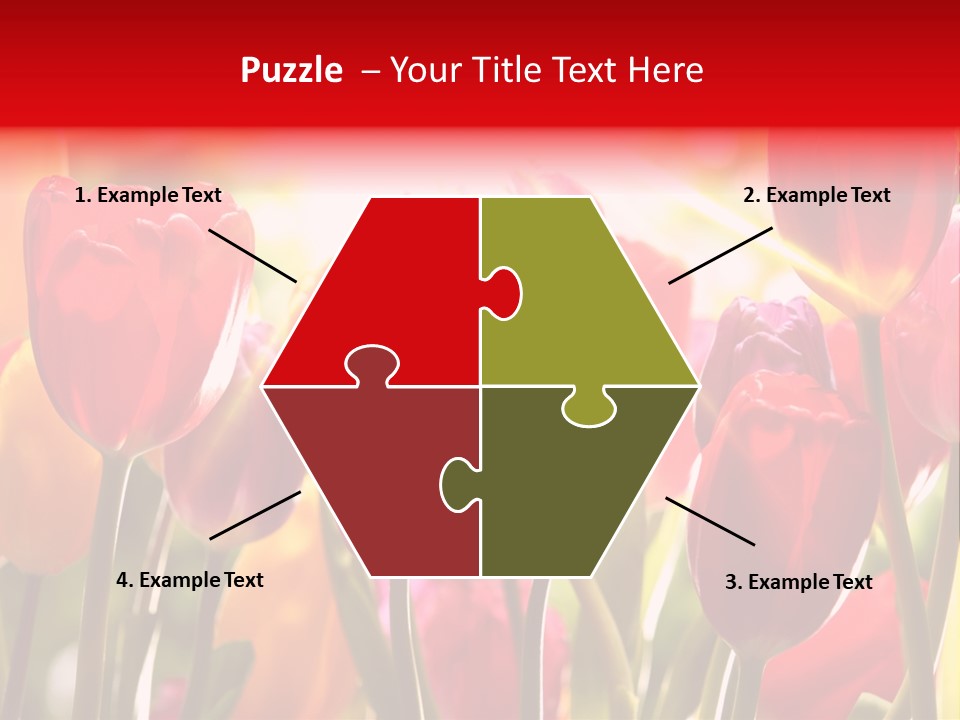 Color Multicolored Springtime PowerPoint Template