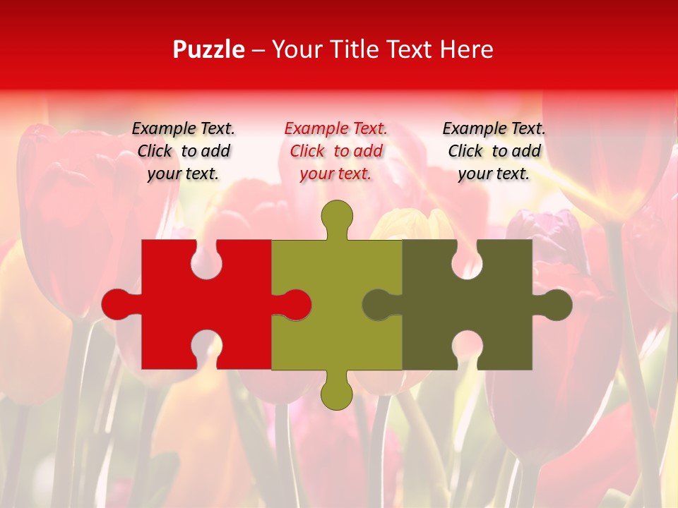 Color Multicolored Springtime PowerPoint Template