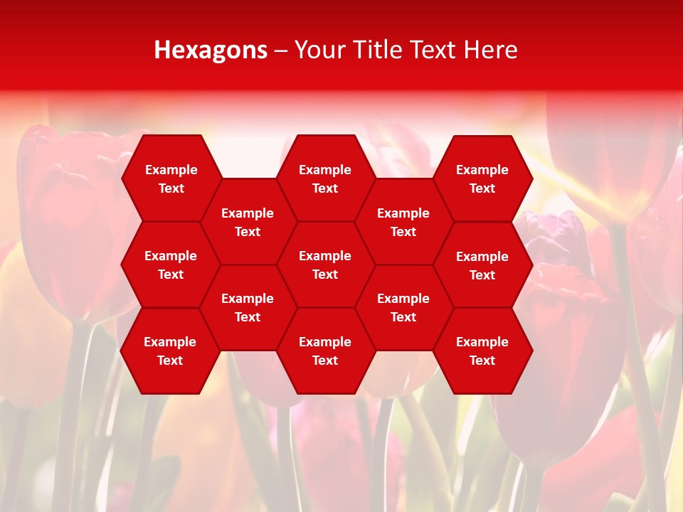 Color Multicolored Springtime PowerPoint Template