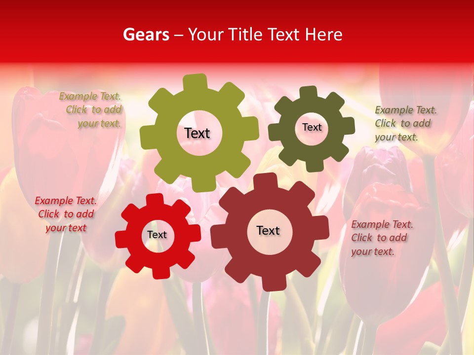 Color Multicolored Springtime PowerPoint Template