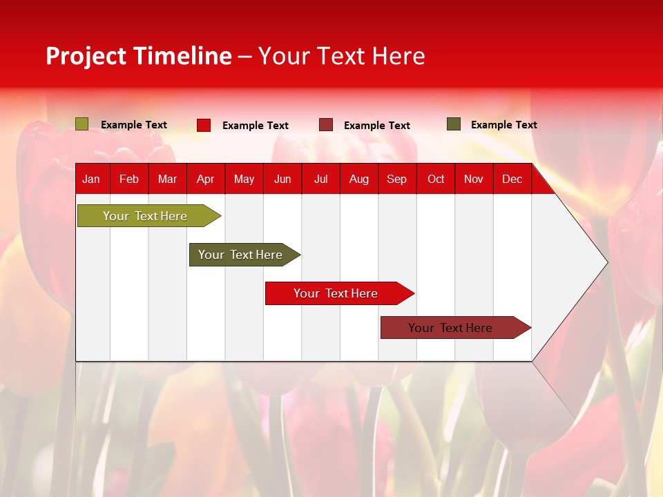 Color Multicolored Springtime PowerPoint Template