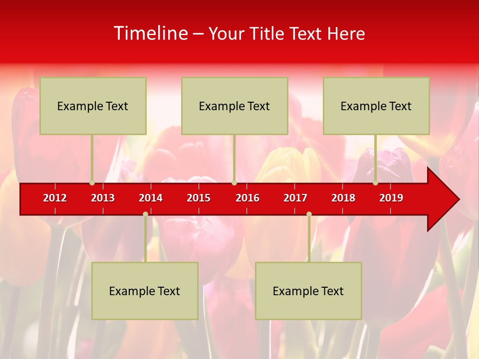 Color Multicolored Springtime PowerPoint Template