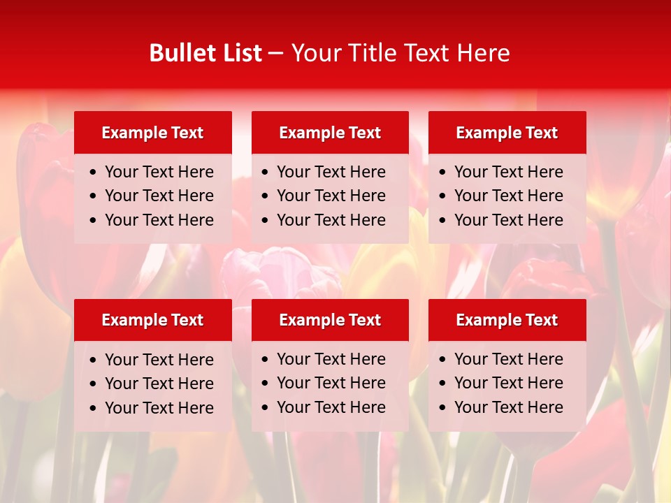 Color Multicolored Springtime PowerPoint Template