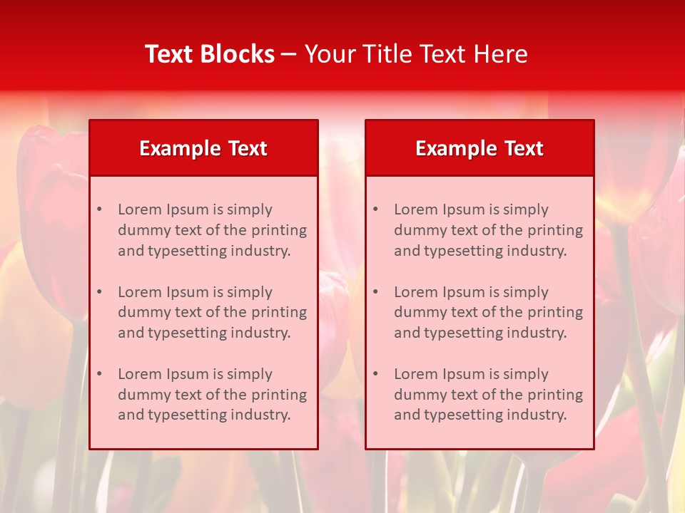 Color Multicolored Springtime PowerPoint Template