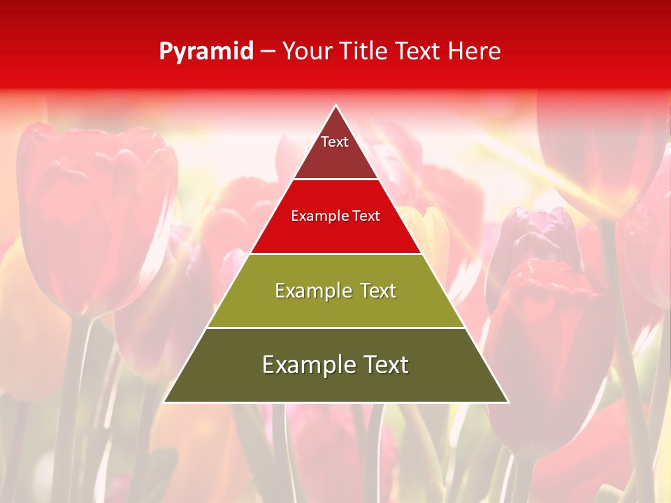 Color Multicolored Springtime PowerPoint Template