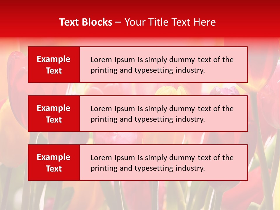 Color Multicolored Springtime PowerPoint Template