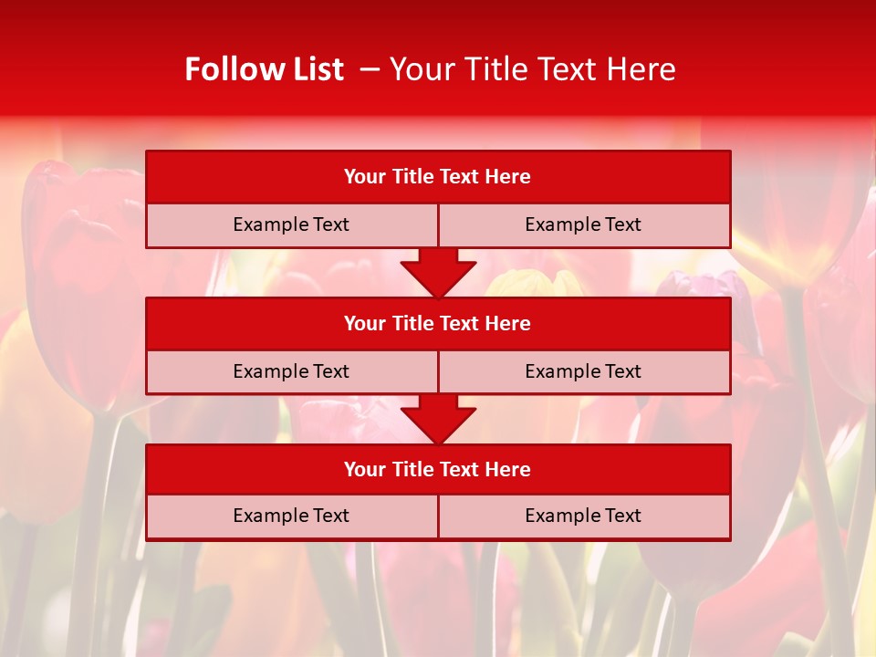 Color Multicolored Springtime PowerPoint Template