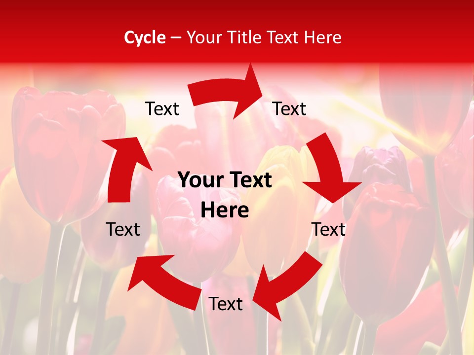 Color Multicolored Springtime PowerPoint Template