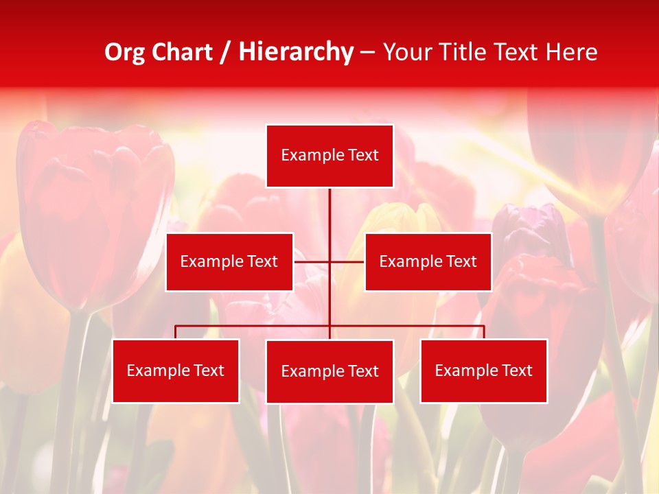 Color Multicolored Springtime PowerPoint Template