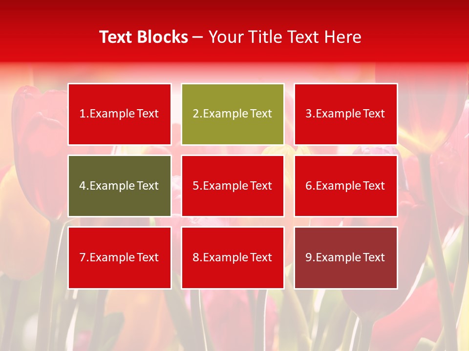 Color Multicolored Springtime PowerPoint Template