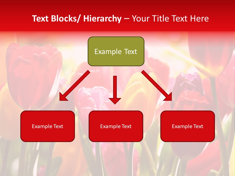 Color Multicolored Springtime PowerPoint Template