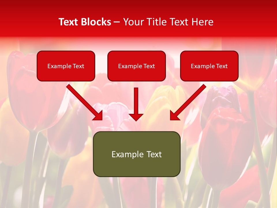 Color Multicolored Springtime PowerPoint Template