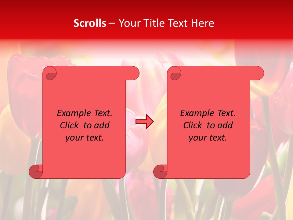 Color Multicolored Springtime PowerPoint Template