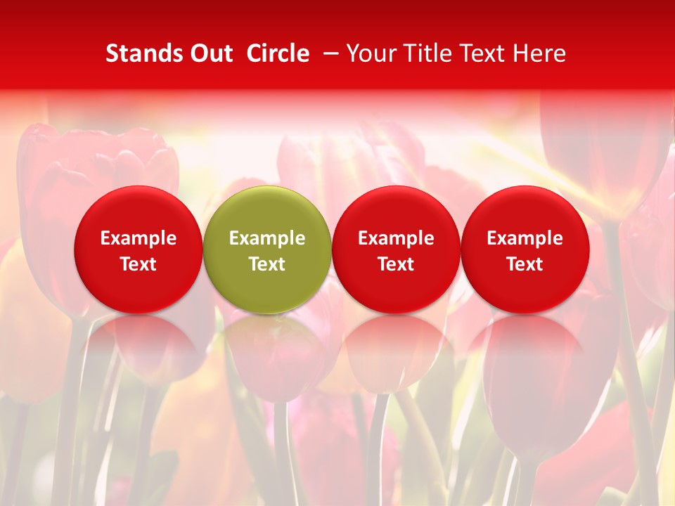 Color Multicolored Springtime PowerPoint Template