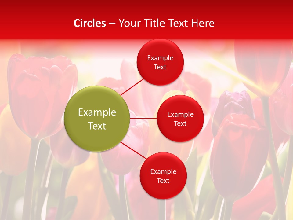 Color Multicolored Springtime PowerPoint Template