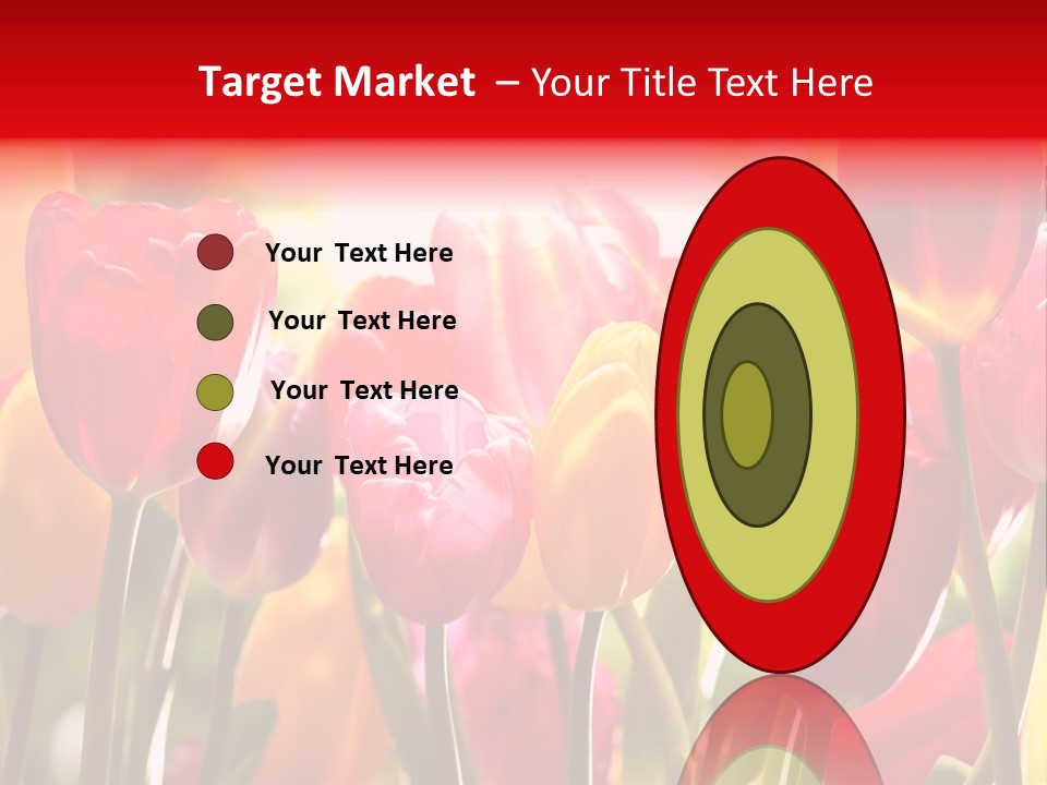 Color Multicolored Springtime PowerPoint Template