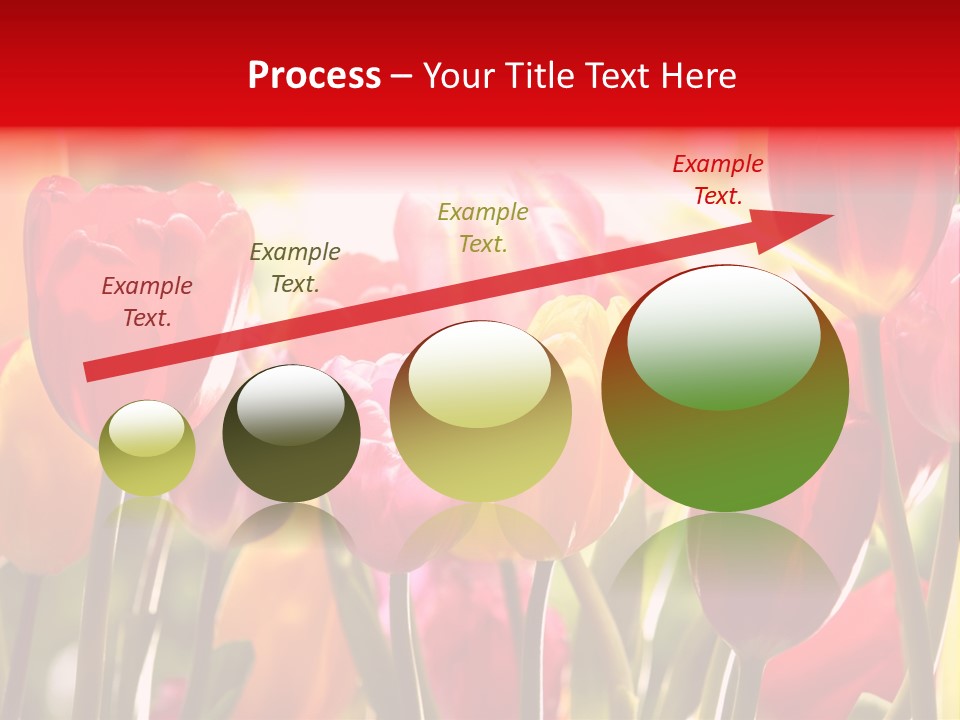 Color Multicolored Springtime PowerPoint Template