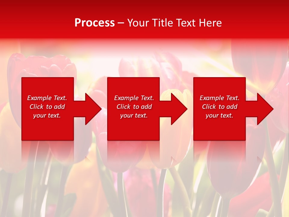 Color Multicolored Springtime PowerPoint Template