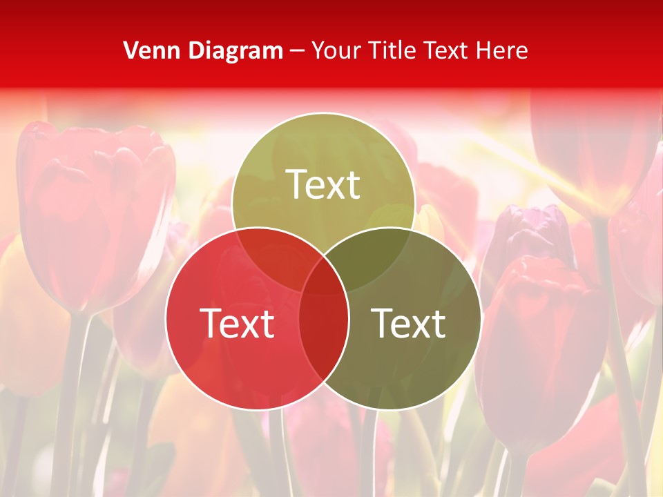 Color Multicolored Springtime PowerPoint Template