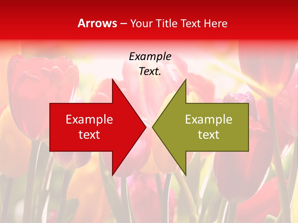 Color Multicolored Springtime PowerPoint Template