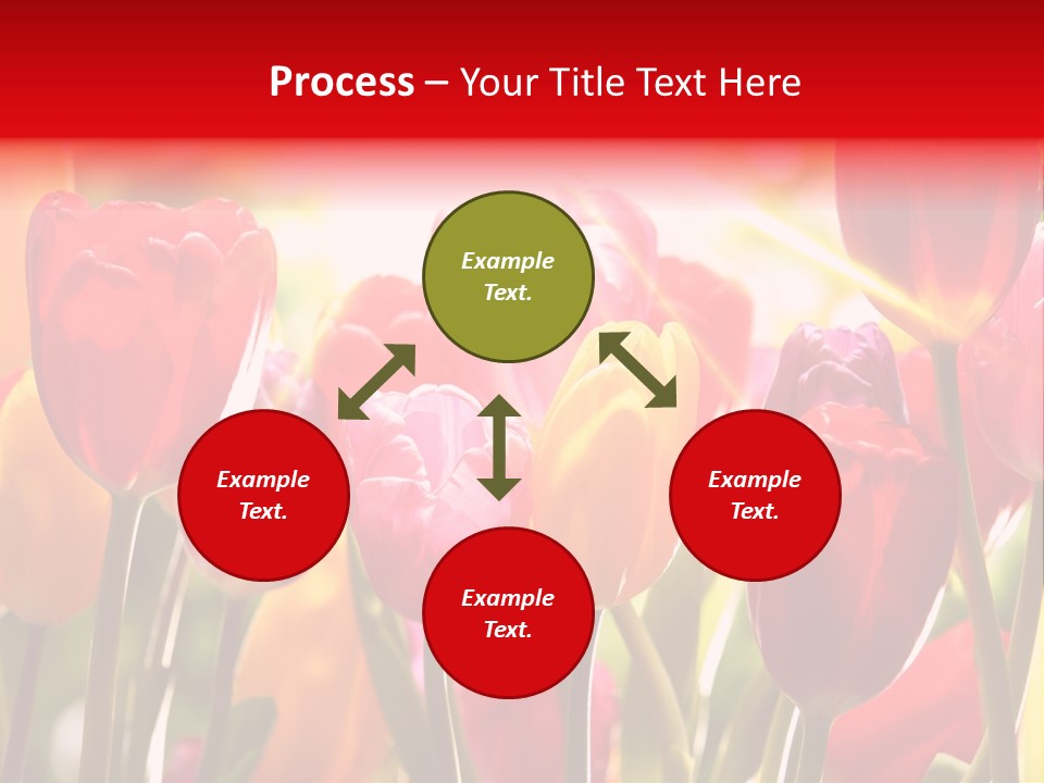 Color Multicolored Springtime PowerPoint Template