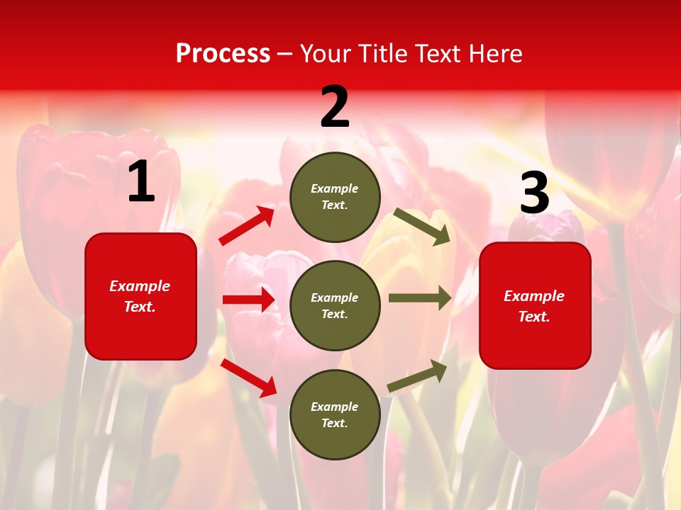 Color Multicolored Springtime PowerPoint Template